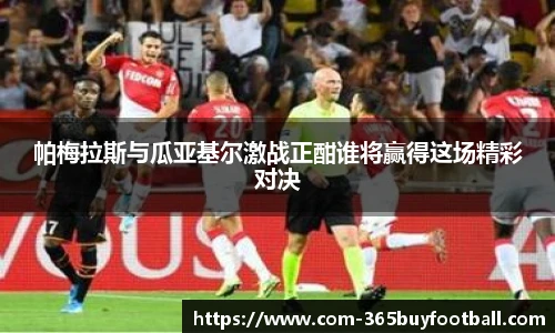 365买球官网
